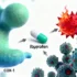 Beyond Pain Relief: The Emerging Anti-Cancer Potential of Common NSAIDs