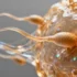 The Secret Physics-Defying Dance of Sperm Cells and What It Means for Future Technology