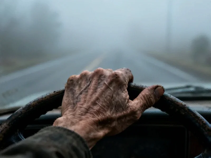 U.S. Auto Industry Navigates Uncharted Waters with Surprising Adaptability - Professional coverage