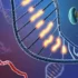 Unraveling the Architectural Blueprint of Our DNA: How Controlled Cohesin Loading Is Reshaping Genome Science