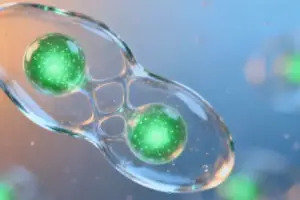 Overcoming Cancer's Defenses: How Membrane-Anchored SLP-76 S - The Critical Challenge in CAR T-Cell Therapy Chimeric antigen