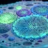 New measurement method visualizes chemical signals of individual cells