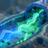 Unlocking Malaria’s Secrets: How a Novel Protein Partner Could Revolutionize Antimalarial Drug Development