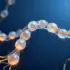 Boneless Insects Possess Sophisticated Calcium Control System, Groundbreaking Study Reveals