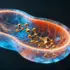 Yale Team Uncovers Origin of Gamma Brain Waves in Thalamus-Cortex Interaction