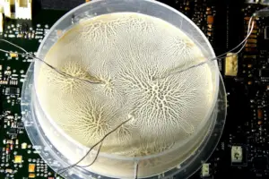 NVIDIA's DGX Spark Gets First Major Update With Performance Boost - Professional coverage