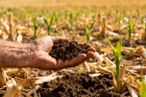 Why Top Investors Aren't Worried About an AI Bubble - Professional coverage