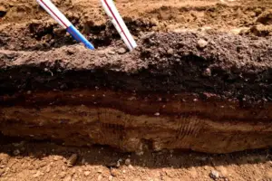 Senators Probe Data Center Giants Over Rising Electricity Bills - Professional coverage