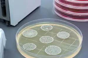 Everyone's Playing AI Detective on LinkedIn Now - Professional coverage